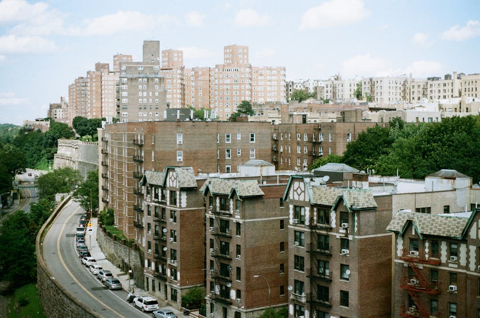 The Bronx New York restaurant
